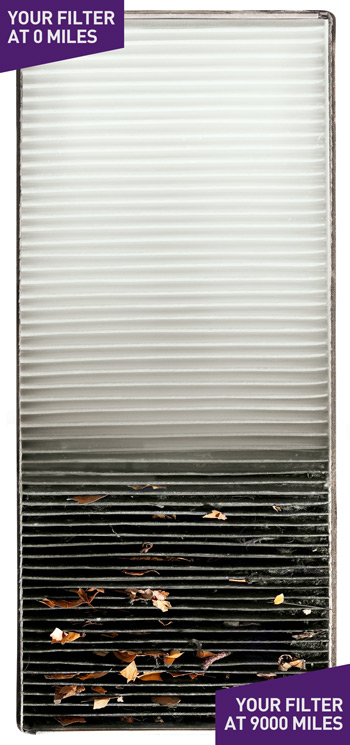 How clean is your cabin filter?